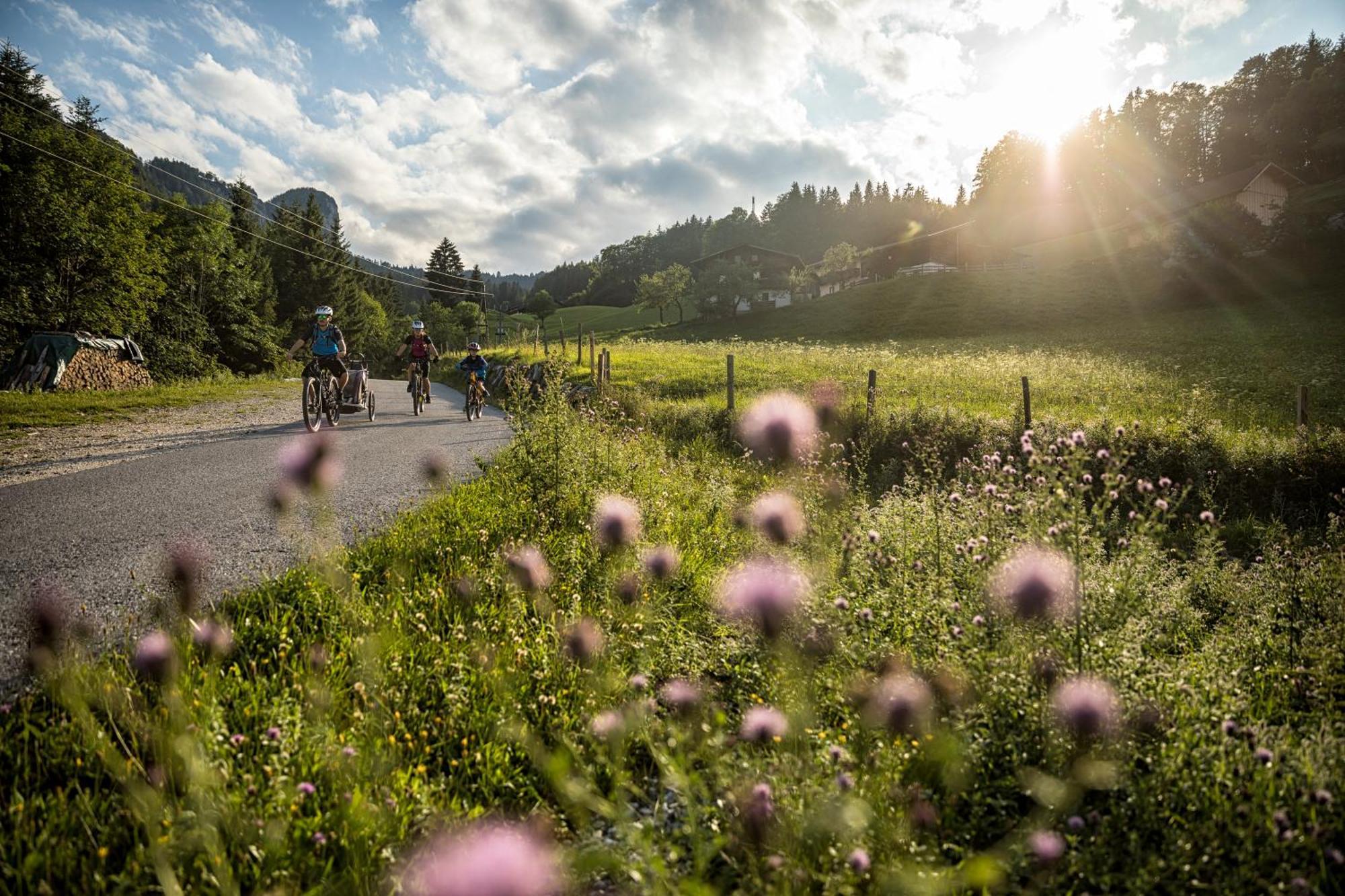 Dorfcafe Unken Hotelpension Swirtshaus Im Dorf المظهر الخارجي الصورة