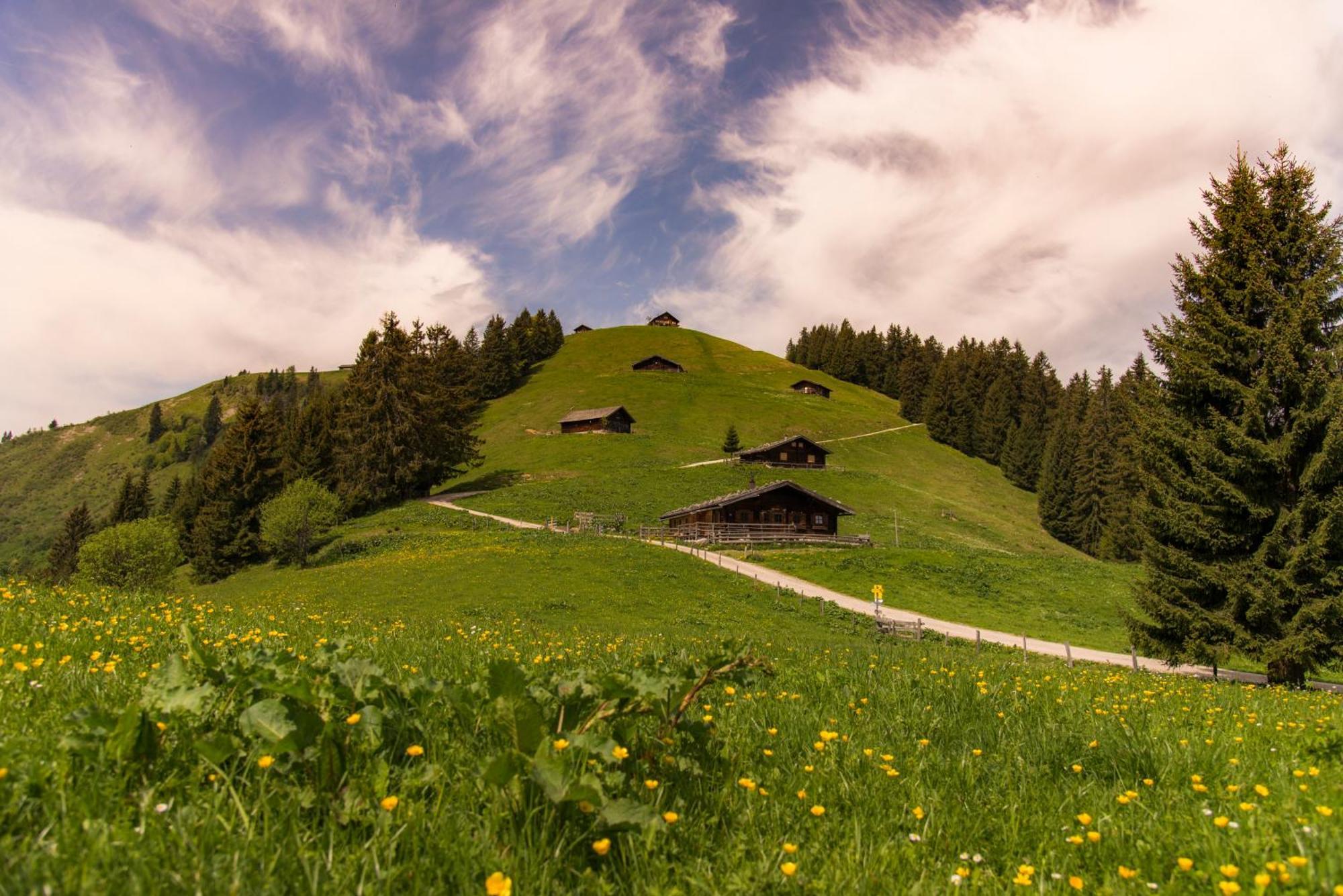 Dorfcafe Unken Hotelpension Swirtshaus Im Dorf المظهر الخارجي الصورة